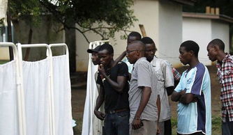 索马里三男子协助恐怖分子 蒙脸绑木柱等待枪决 央广网 