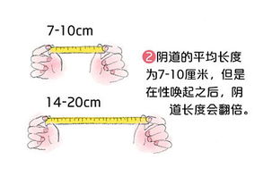 阴道长啥样 看完这几张图就了解 2