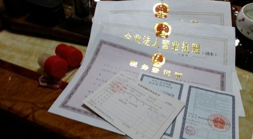 深圳取得的营业执照包含哪些有用信息