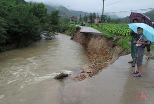 梦见洪水冲断路