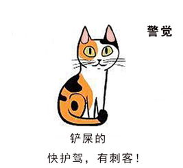 你真的懂猫吗 猫的表情和动作全解读 搜狐宠物 搜狐网 
