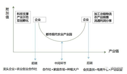 入市方案模板