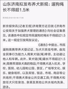 济南再出养狗新公告,这次连遛狗绳长都规定了 