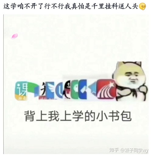 为什么我身边听到好多低学历找到了高学历的女朋友,但是我遇到的都是本科毕业,要求男朋友要是研究生毕业 