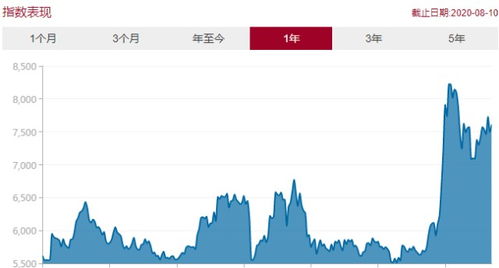 为什么上证指数涨 证券股票还跌