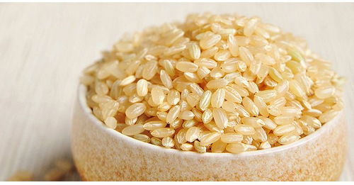 糙米是什么米(糙米是水稻磨的粗米吗)