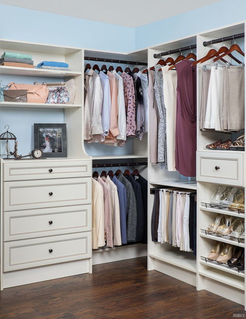 Closet Organizers 