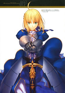 saber Fate zero 大图