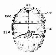 妇产科学 第二节 决定分娩的三个因素 