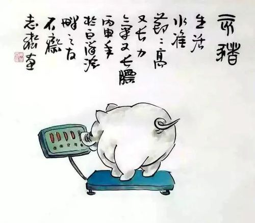 一组趣味生肖画