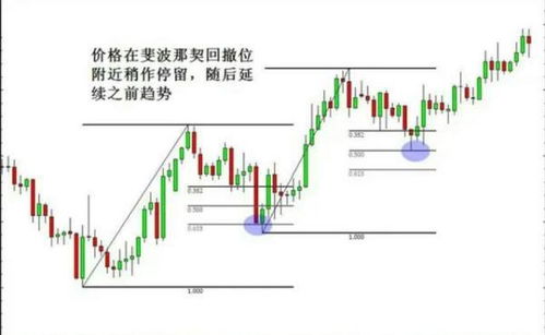 股票创出历史新高后怎么操作