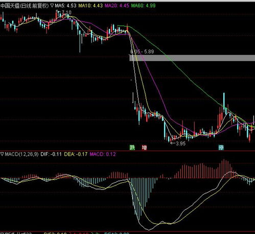 股市指标macd的原理和含义