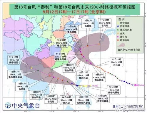 中央气象台要大家给台风起名字,你说叫啥好