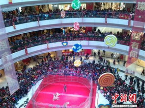 新疆库尔勒商场内老虎狮子上演马戏 观众爆满围观 