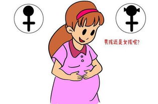 妈妈变丑生男孩,变漂亮生女孩