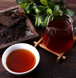 熟普洱茶能减肥吗 普洱茶可以减肥吗