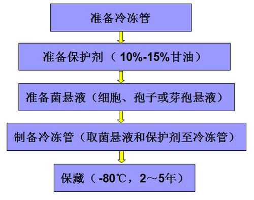 微生物基础操作知识小汇总 