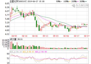 谁能帮我分析一下亚星化学的走势