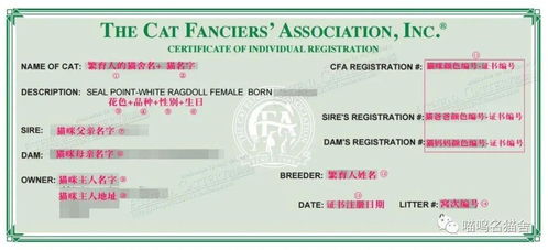 科普CFA猫协会血统证书