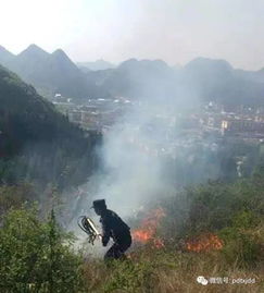 普定 上坟祭祖的又烧山了,幸得特警大队及时处置 