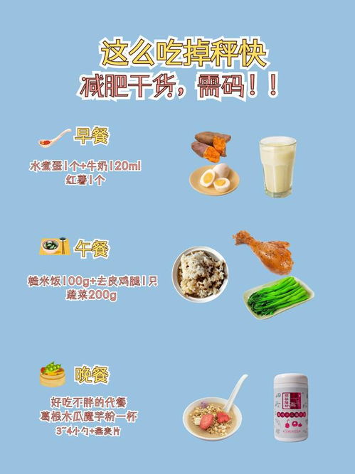 智能家居清雅生活推荐官：健康饮食分享快乐饮食健康知识大全