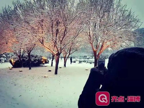 淄博大雪已 到货 这些地方客车停运高速关闭