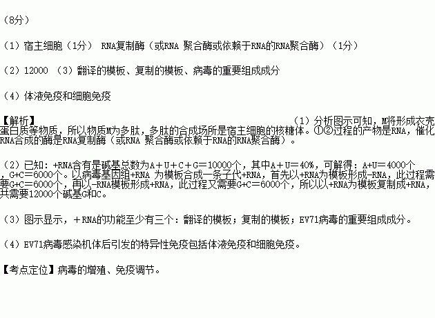 手足口病概念股票有哪些