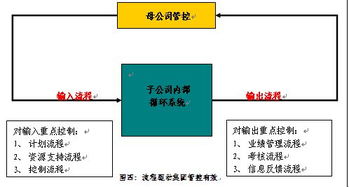 关于母公司子公司关系?