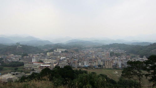 广西钦州灵山浦北县