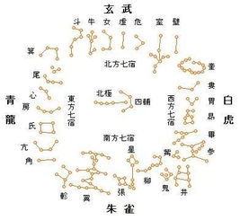 风水解忧 1 事业进步,财丁兴旺 房间 