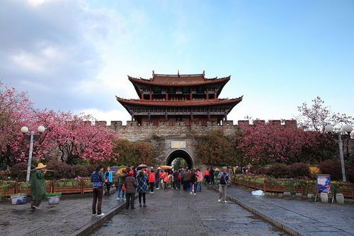 想去云南旅游有哪些好玩的地方 云南旅游是你向往的那个地方吗