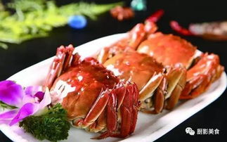 中国著名螃蟹大赏 