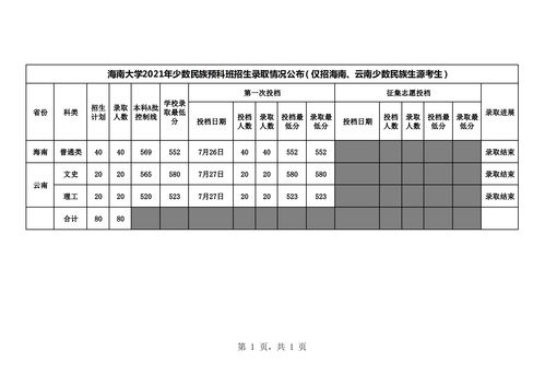 海南美术生可以考什么大学