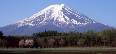 日本有什么好玩的 带你去富士山赏樱花 