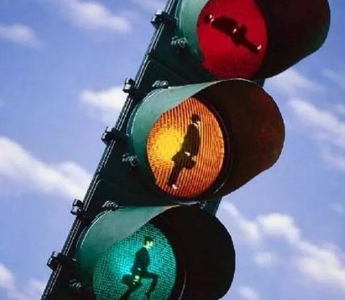 懵了 红绿灯设计成这样,还让不让人好好过马路了