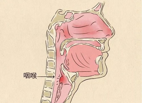 北京中医药防治甲流方案出炉，连花清瘟再上榜，为什么(北京中医治疗甲减专家)