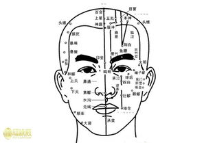 印堂图解 印堂的准确位置图