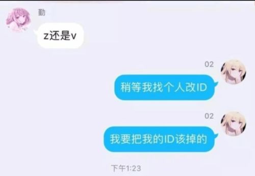 一个游戏id能值多少钱,好的名字值一套房,土豪让人看不懂