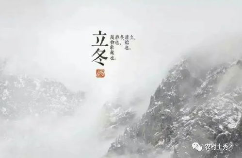 今天立冬, 不怕重阳十天雨,只怕立冬一天晴 ,立冬天晴不好吗