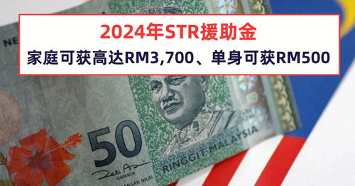 政府派钱啦 这个是2024年 STR援助金 