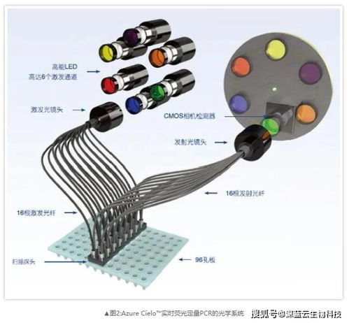 什么是real-time-PCR(实时荧光定量PCR)？