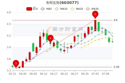 600255资金流向