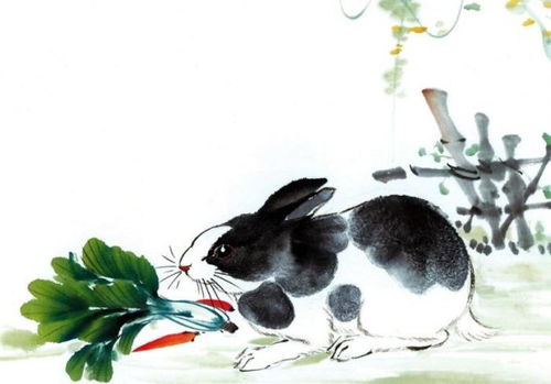 有雨山戴帽 生肖兔要 飞天了 ,身边有没有属兔的 赶快通知他