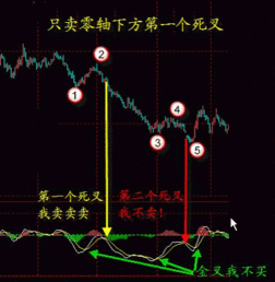 构成金叉死叉的两条线分别叫啥名？