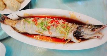 新疆福海狗鱼怎样做好吃 