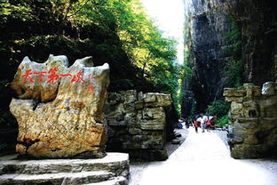 野山坡旅游景区