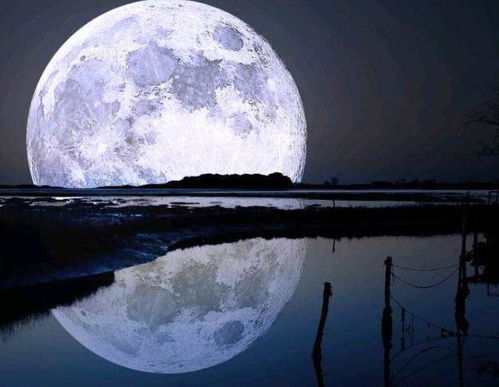 关于望着月亮思念家乡的诗句