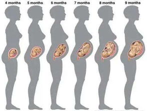 原创这些月份最适合怀孕准备要宝宝的妈妈们你们知道吗？