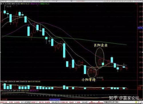 我看了一篇股票文章太深奥了，谁帮我说一下总内容