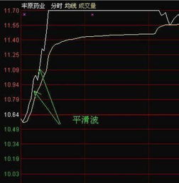 股市分时图下标注的大单、中单、小单的买卖成交量是什么时间段的成交量？